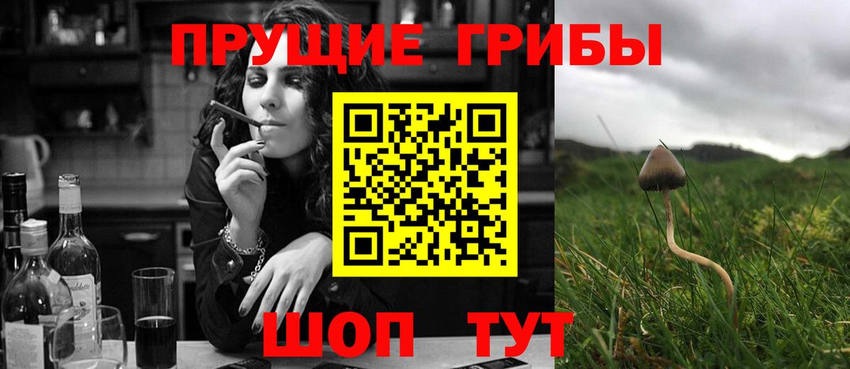 Псилоцибиновые грибы GOLDEN TEACHER Белогорск