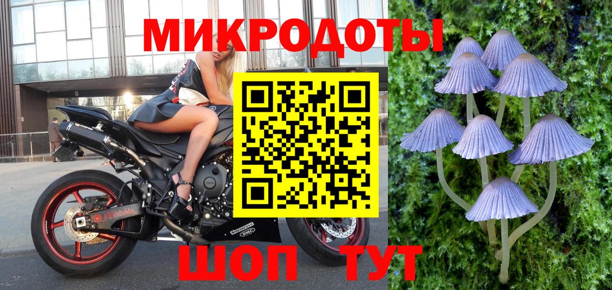 Белогорск  Псилоцибиновые грибы мухоморы  Вход с VPN 